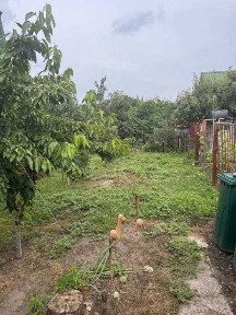 Полтавська область, Полтава