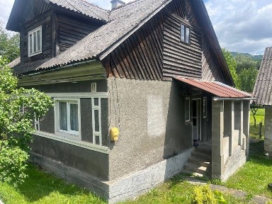 Будинок у селі Ділове з великою земельною ділянкою