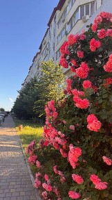 Квартира 30 м² від власника у ЖК «Маріїнський», Великодолинське