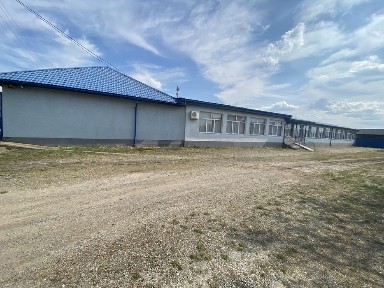 ‼️ТЕРМІНОВО ПРОДАМ торгівельно-промисловий комплекс у передмісті Берегова с. Боржа