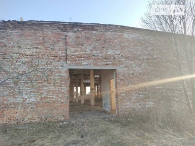 вулиця Петра Ратинського, Заріка, площа 415.6 кв. м • ID 34625154