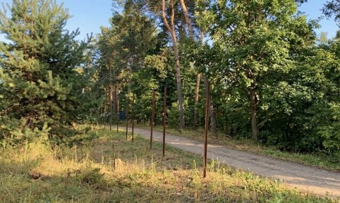 Коробка, будинок 187 м² Путрівка Васильків | 7 соток ліс топ локація