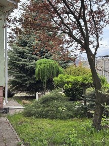 Кіровоградська область, Кропивницький, Подільський