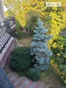 Велика Садова вулиця, Одеса, вул. Велика Садова • ID 34624106
