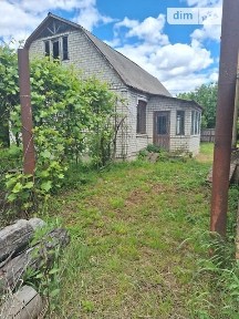 Нова Олександрівка, Лісова 34623723