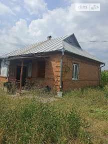 Льва Толстого вулиця, Іллінці, вул. Льва Толстого • ID 34622637