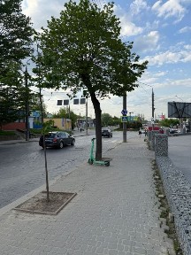 Чернівецька область, Чернівці