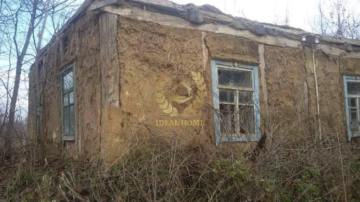 Продам будинок- земельна ділянка в Торчиці: 2 кімн., 49.2 кв. м, 25 соток