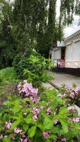 Черкаська область, Черкаси