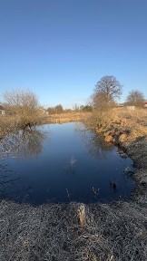 Продаю земельну ділянку, будинок та озером с. Бартатів, 10км до Львів