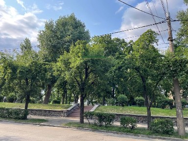 Київська область, Київ, Шевченківський