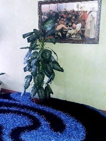 Перемоги вулиця, район Виставка, Хмельницький, вул. Перемоги 6А • ID 25178756