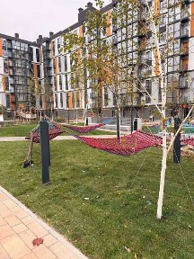 Київська область, Вишневе