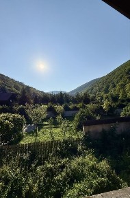 Закарпатська область, Вовчий