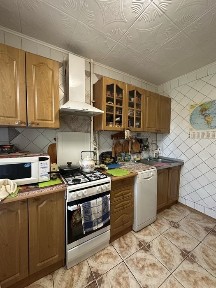 Дніпропетровська область, Дніпро, Шевченківський