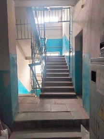 Житомирська область, Житомир, Польова