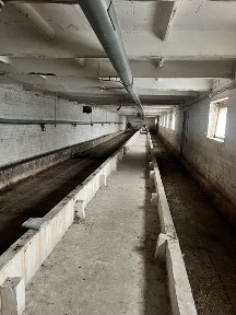 Здам в оренду приміщення