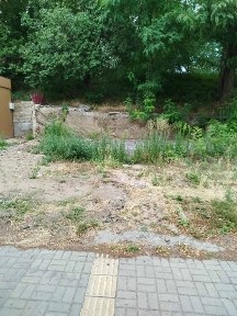 Київська область, Київ, Подільський