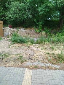 Київська область, Київ, Подільський