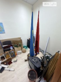 Михайла Грушевського вулиця, мікрорайон Липки, район Печерський, Київ, метро Хрещатик, вул. Михайла Грушевського 10, приміщень - 2, поверх - 1 • ID 34546828