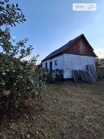 Ковалиха, вулиця Виноградна 37 • ID 34637171