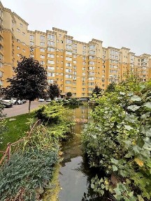 Київська область, Софіївська Борщагівка