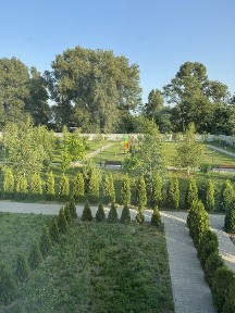 Київська область, Петропавлівське