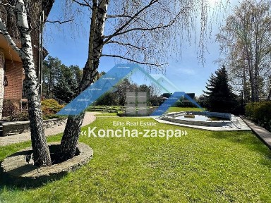 Київська область, Козин
