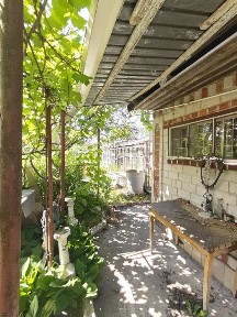 Житомирська область, Березівка
