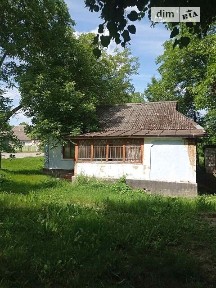 Оренда офісного приміщення на Рачкевич 81, приміщень -, поверх - 1 • ID 34728095