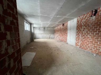 Київська область, Київ, Голосіївський