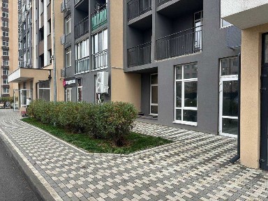 Київська область, Київ, Голосіївський