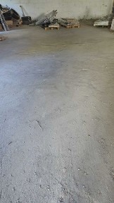 Київська область, Проліски
