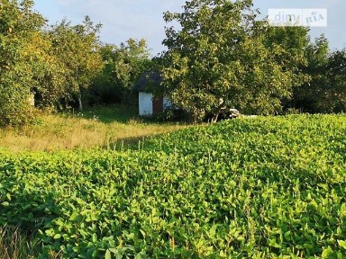 Продаж 1 поверхового будинку з ділянкою на 34 сотки, 10 кв. м, 1 кімната, на вул. Горинська • ID 34639707