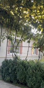 Закарпатська область, Тур'ї Ремети