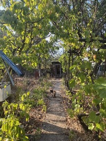 Продам дачу 6 сотом, 5 кімнат, Христиновка (Хоминка) Одеська область