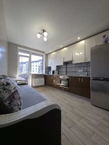 Київська область, Софіївська Борщагівка