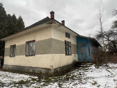Івано-Франківська область, Тлумач