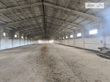 Курортна, Банюнин, Курортна 2, площа 1500 кв. м • ID 34557570