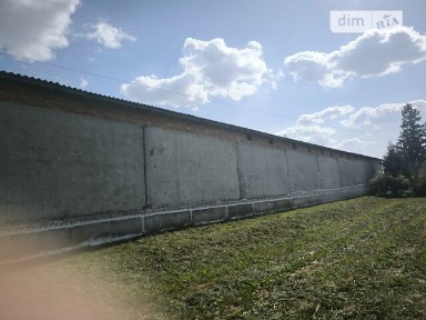 Курортна, Банюнин, Курортна 2, площа 3500 кв. м • ID 34557377