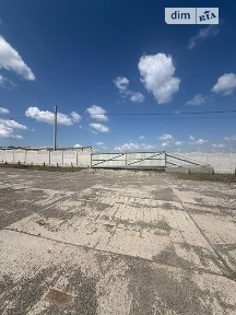 Центральна вулиця, Лісові Гринівці, вул. Центральна, площа 576 кв. м • ID 34527744