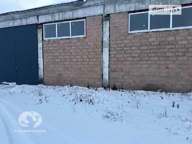 Лубенского Петра вулиця, Лубни, вул. Лубенского Петра 32, площа 2636.9 кв. м • ID 34285324