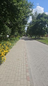 Здам 1кв по Лесі Українки