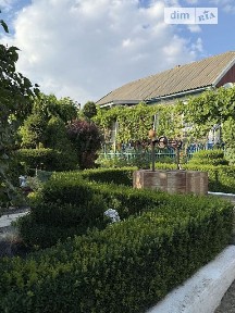 Малаївці, Виноградна • ID 34642469