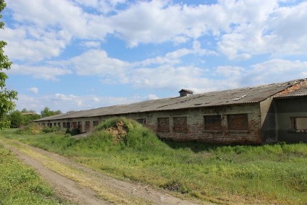 Сарай-коровник.