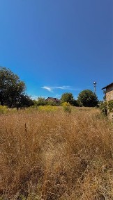 Рівненська область, Рівне