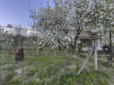 Продається затишний дачний будинок в с. Лавки