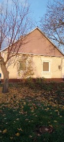 Продажа дома за городом, вместе с действующим магазином.