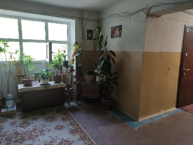 Аренда 1-комнатной квартиры 29 м², 7-й Северно-Озерный пер.