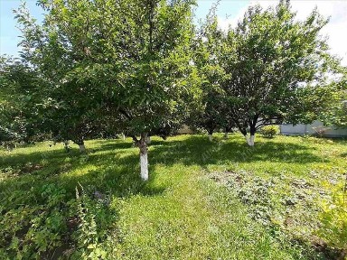 Полтавська область, Нижні Млини